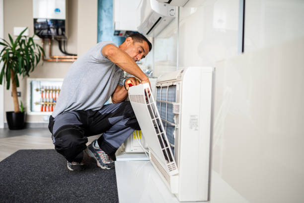 Best Affordable Duct Cleaning Services  in Las Flores, CA