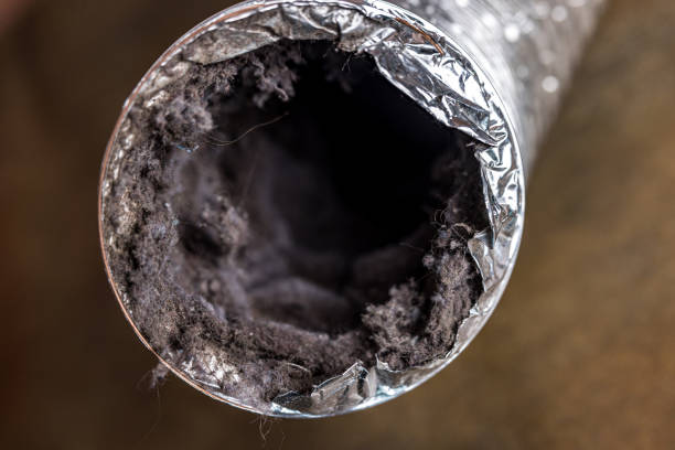 Best Local Air Duct Cleaning Services  in Las Flores, CA